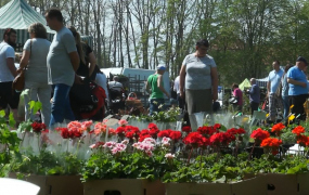 Dla ogrodników i nie tylko